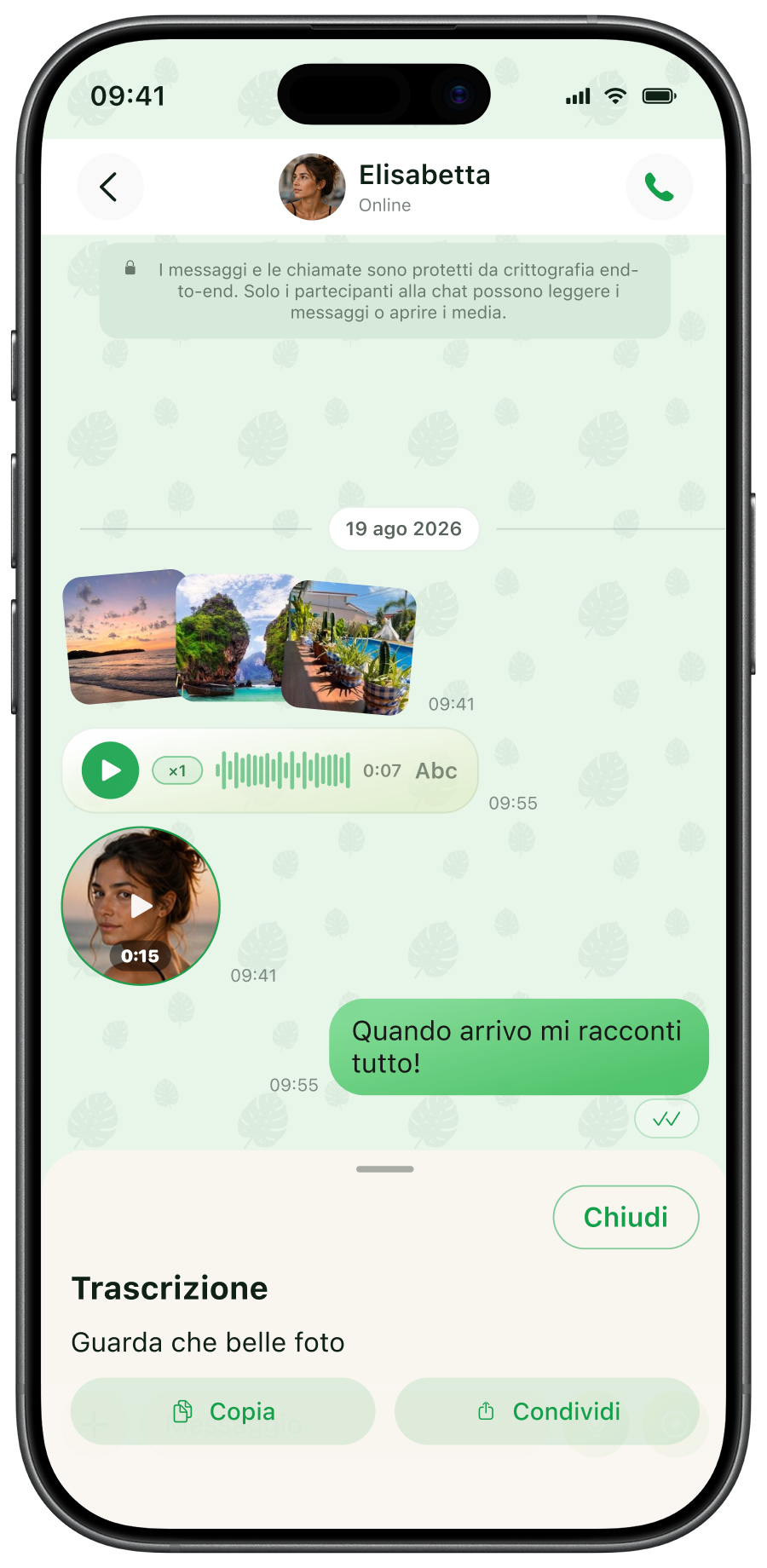 Tema Monstera